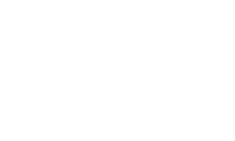 VIAVA-Logo-White